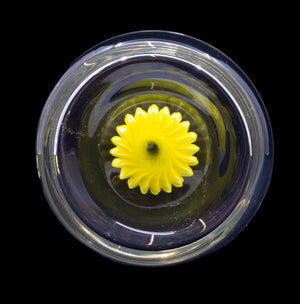 Sunflower Juice Cup